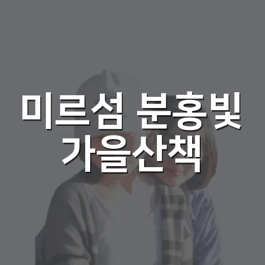 미르섬 분홍빛 가을산책