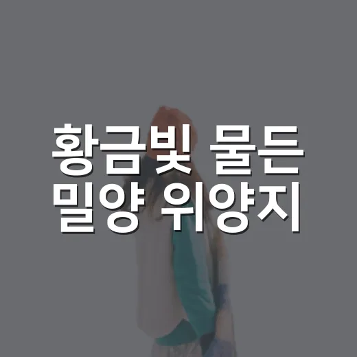 황금빛 물든 밀양 위양지