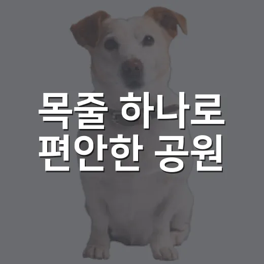 목줄 하나로 편안한 공원