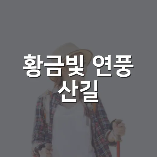 황금빛 연풍 산길