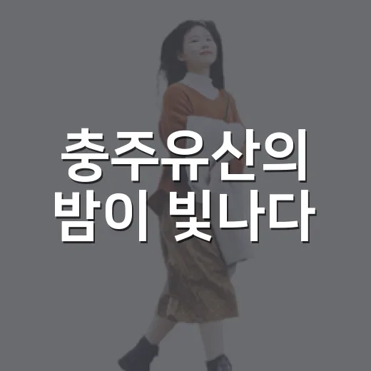 충주유산의 밤이 빛나다