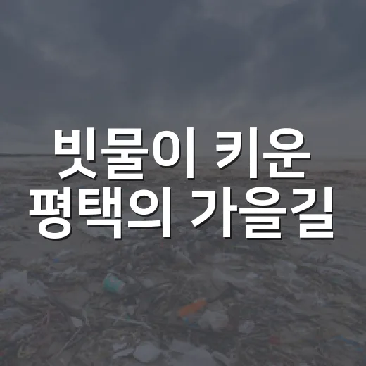빗물이 키운 평택의 가을길