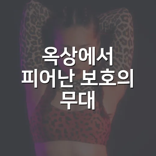 옥상에서 피어난 보호의 무대