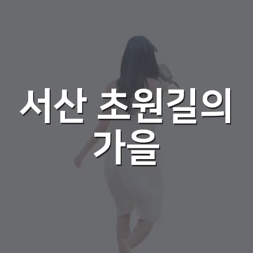 서산 초원길의 가을