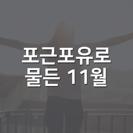 포근포유로 물든 11월
