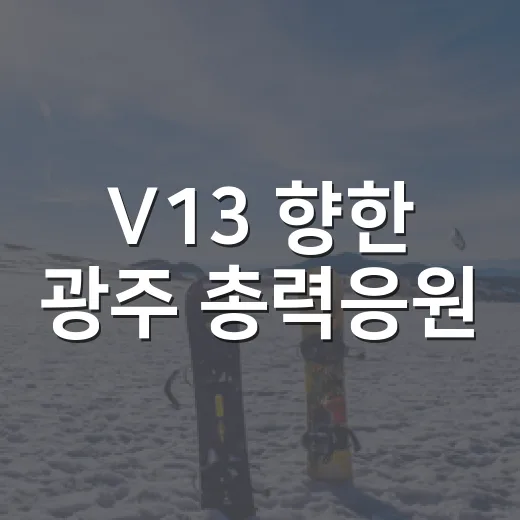 V13 향한 광주 총력응원