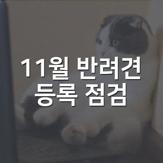 11월 반려견 등록 점검