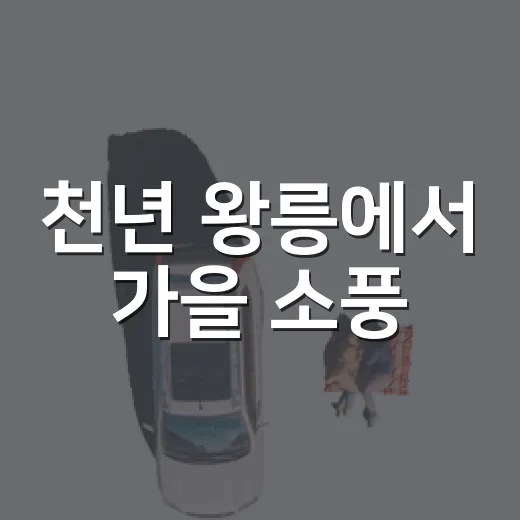천년 왕릉에서 가을 소풍