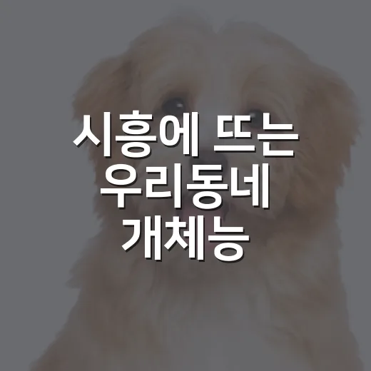 시흥에 뜨는 우리동네 개체능