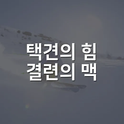 택견의 힘 결련의 맥