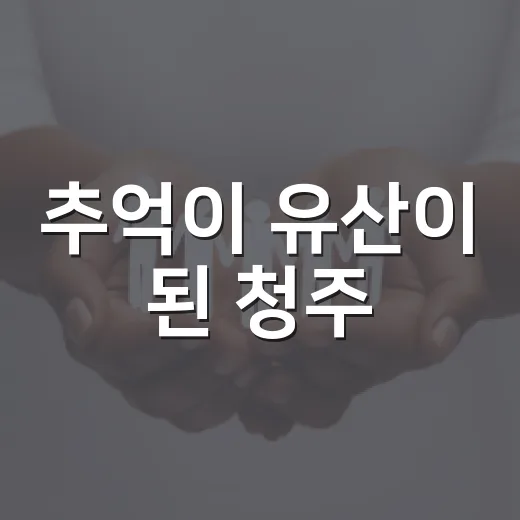 추억이 유산이 된 청주