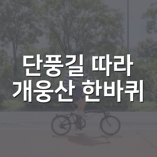 단풍길 따라 개웅산 한바퀴