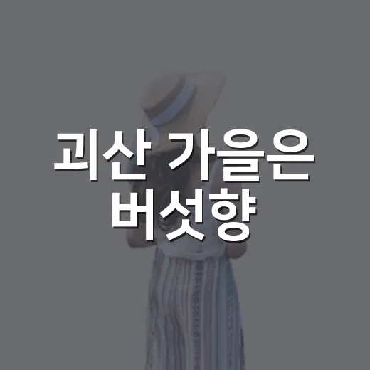 괴산 가을은 버섯향