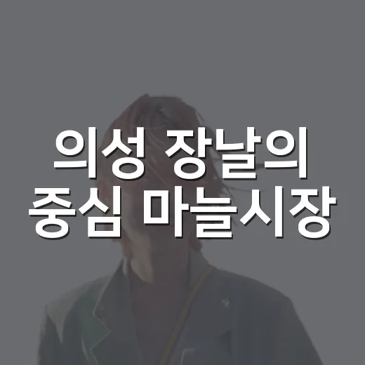 의성 장날의 중심 마늘시장