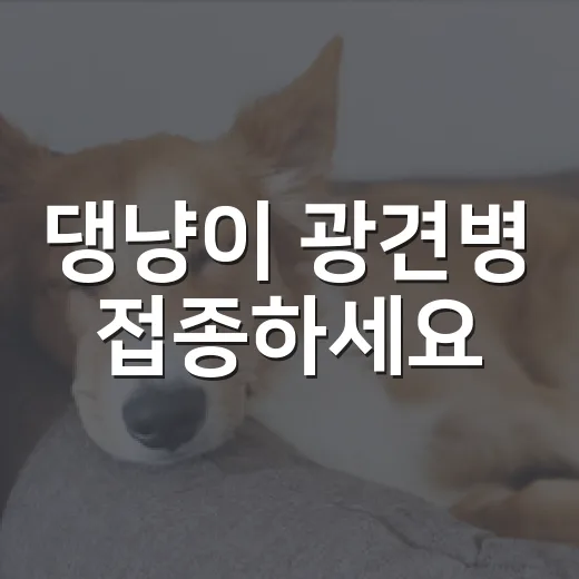댕냥이 광견병 접종하세요