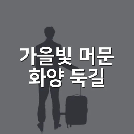 가을빛 머문 화양 둑길