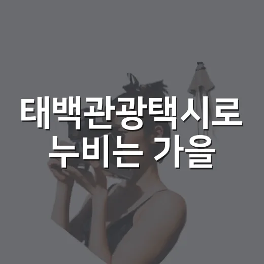 태백관광택시로 누비는 가을