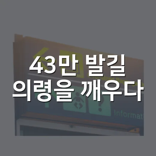 43만 발길 의령을 깨우다