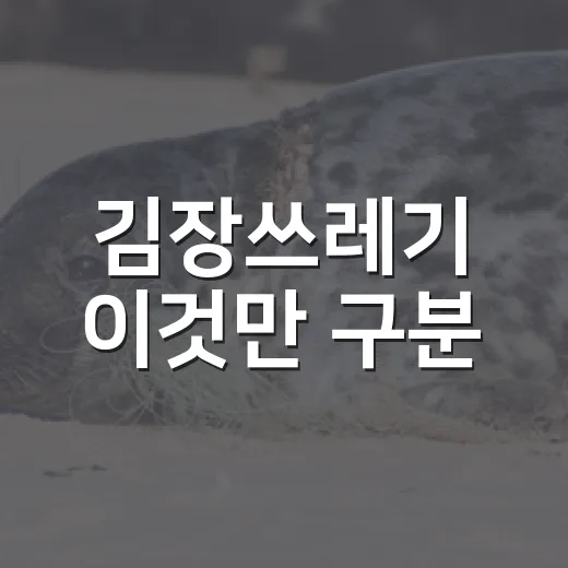 김장쓰레기 이것만 구분