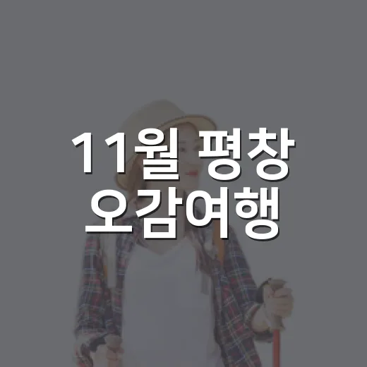 11월 평창 오감여행