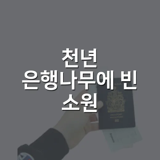 천년 은행나무에 빈 소원