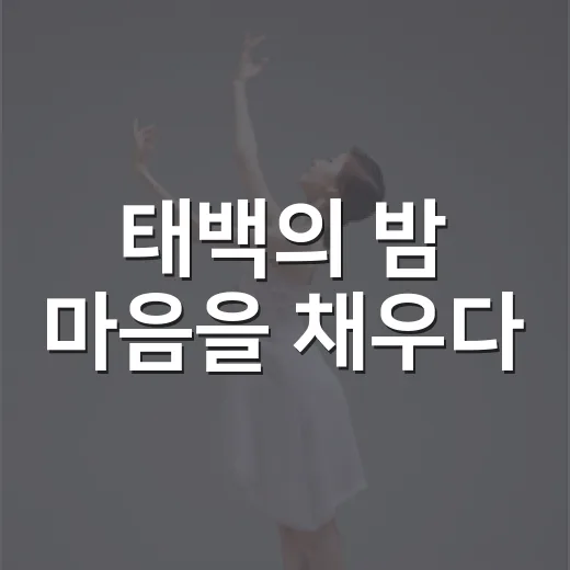 태백의 밤 마음을 채우다
