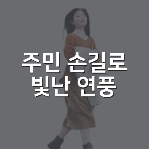 주민 손길로 빛난 연풍