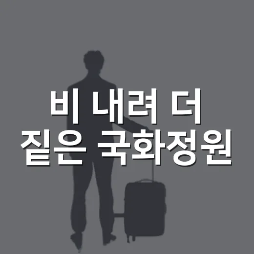 비 내려 더 짙은 국화정원