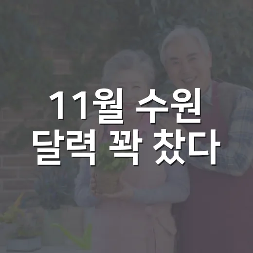 11월 수원 달력 꽉 찼다