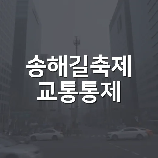 송해길축제 교통통제