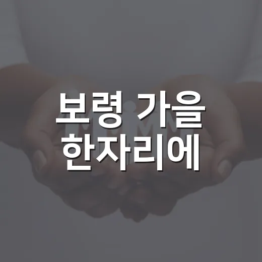 보령 가을 한자리에