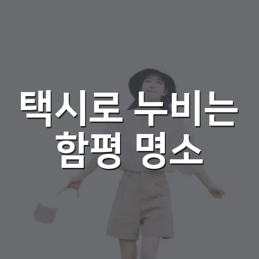 택시로 누비는 함평 명소