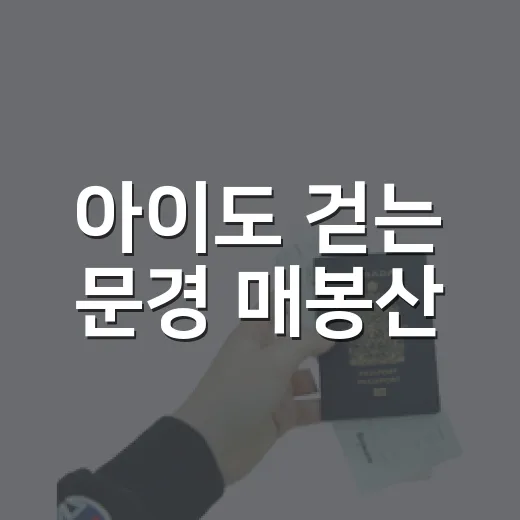 아이도 걷는 문경 매봉산