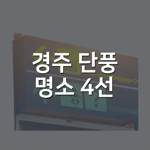 경주 단풍 명소 4선