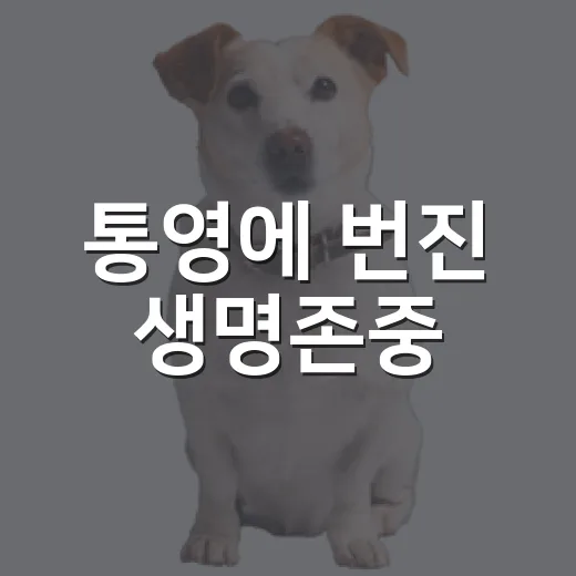 통영에 번진 생명존중