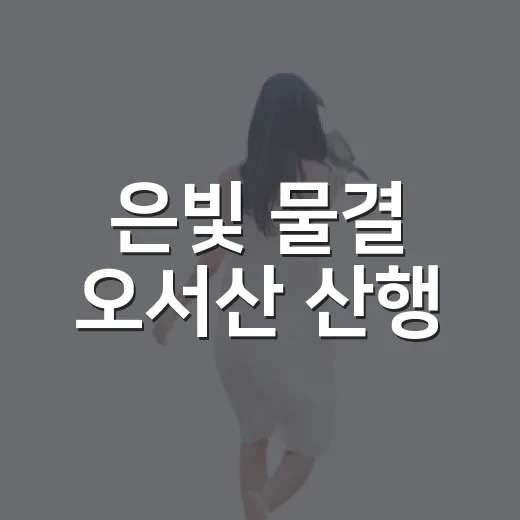 은빛 물결 오서산 산행