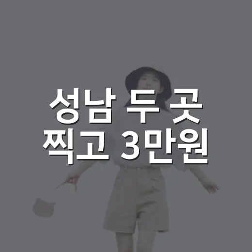 성남 두 곳 찍고 3만원