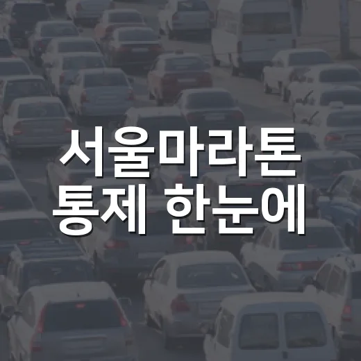서울마라톤 통제 한눈에
