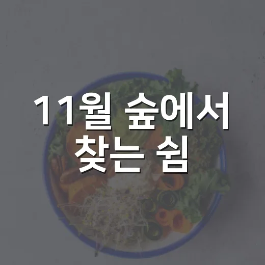 11월 숲에서 찾는 쉼