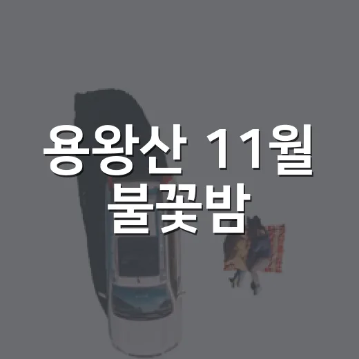 용왕산 11월 불꽃밤