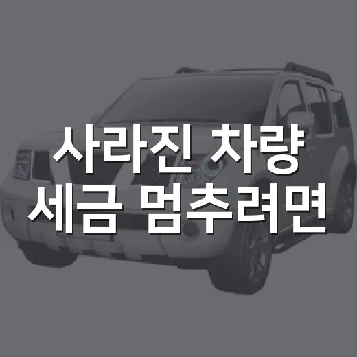 사라진 차량 세금 멈추려면
