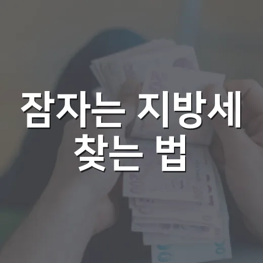 잠자는 지방세 찾는 법