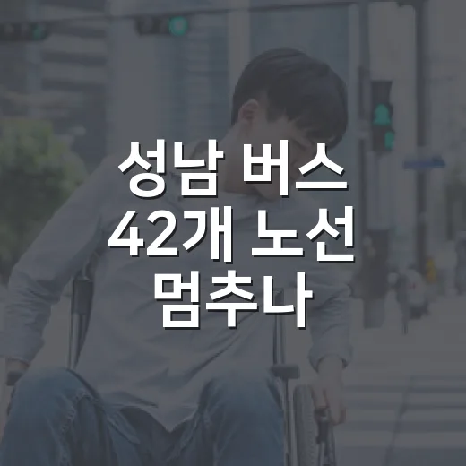 성남 버스 42개 노선 멈추나