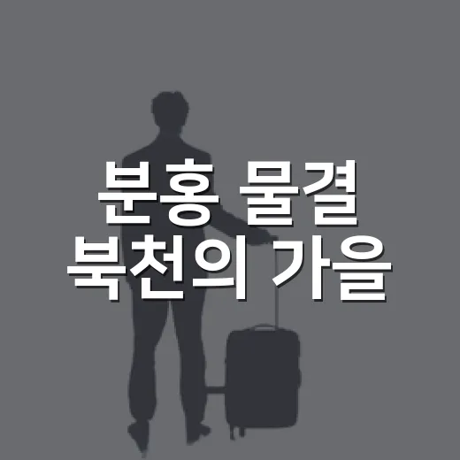 분홍 물결 북천의 가을