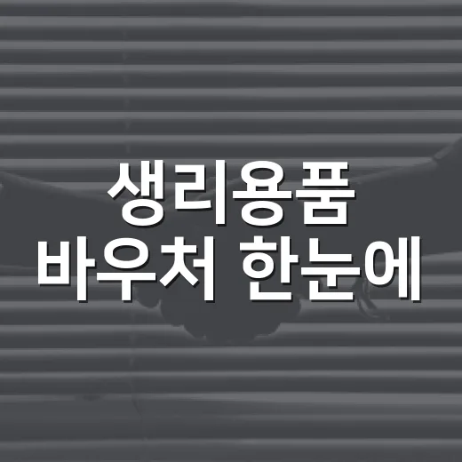 생리용품 바우처 한눈에
