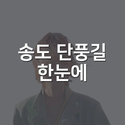 송도 단풍길 한눈에