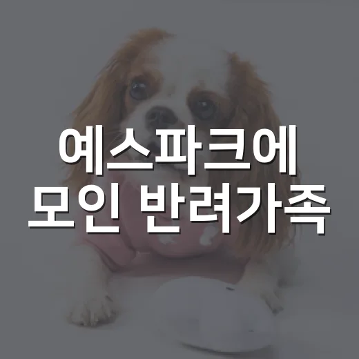 예스파크에 모인 반려가족