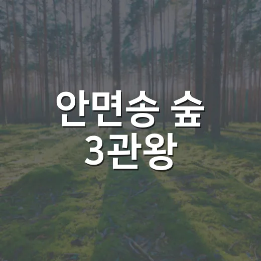 안면송 숲 3관왕