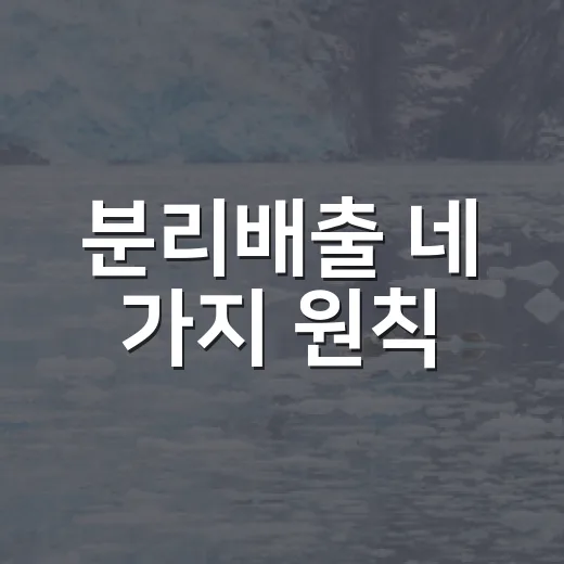 분리배출 네 가지 원칙