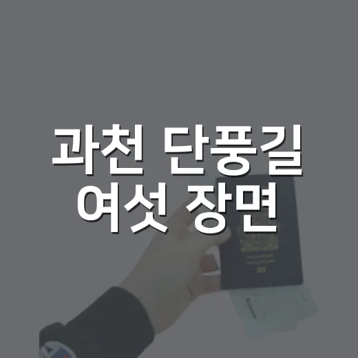 과천 단풍길 여섯 장면